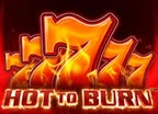 Hot To Burn Hot To Burn